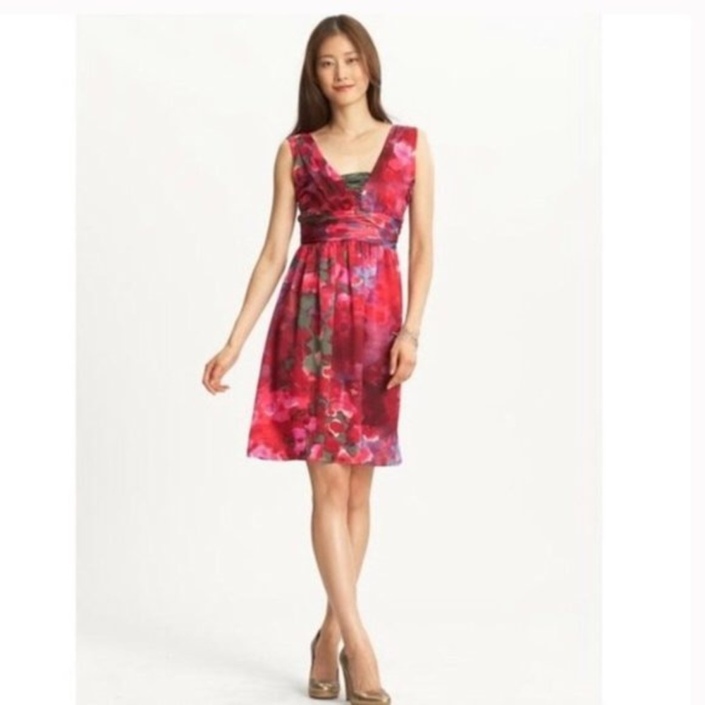 Banana Republic Pink Red Floral V-Neck Dress